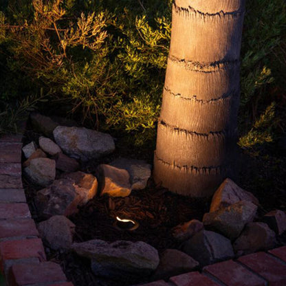 FX Luminaire Black Finish CN51, NO LAMP, CW, FB MR16 IN-GRADE, COWLING