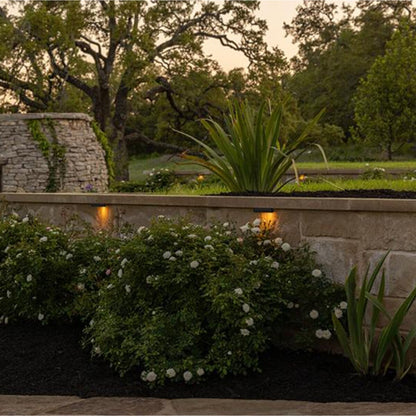 FX Luminaire Ledge Light CL31, LED 2VA, 2700K, BLK