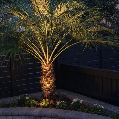 EmeryAllen  EA-RANGERPRO-3000K Ranger 3000K Brass Fixture