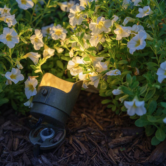 EmeryAllen  EA-RANGERPRO-3000K Ranger 3000K Brass Fixture