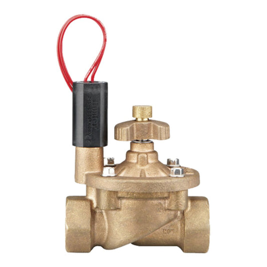 Hunter Globe Valve IBV Brass 1 in. w/ Flow Control and Filter Sentry FIPT x FIPT