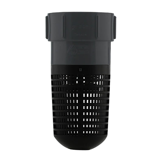 Boshart Foot Valve PVC 2 in. Fpt