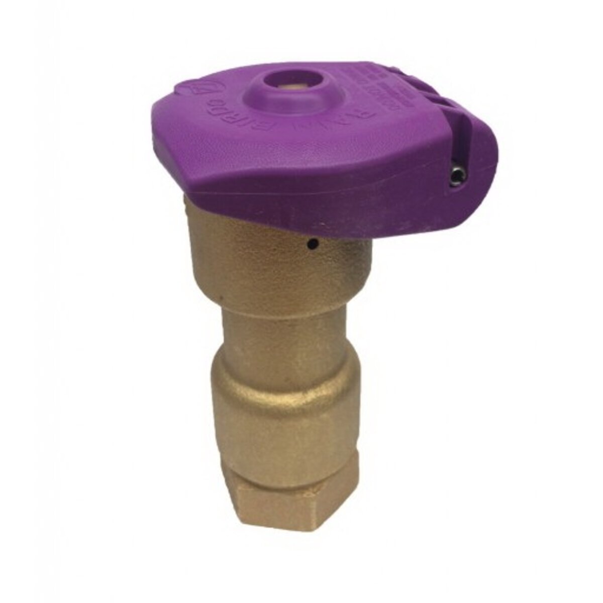 Rain Bird Quick Coupling Valve 1 in. FIPT Inlet 1 pc. Body with Reclaimed Purple Locking Cover