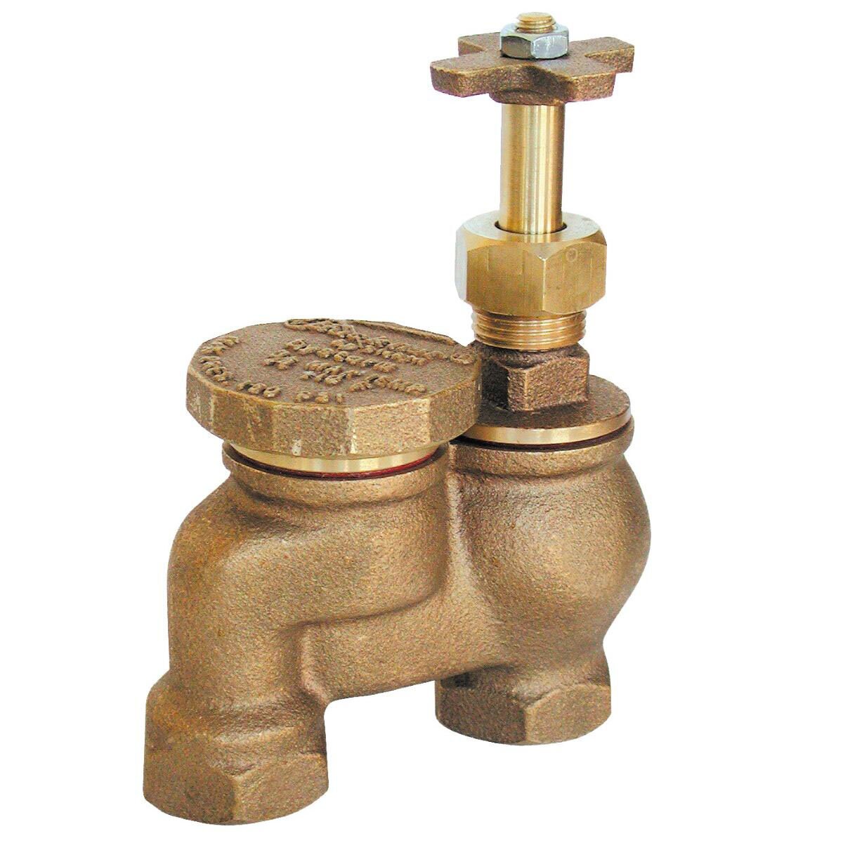 Buckner Red Brass Anti-Siphon Valve 1 in. FIPT