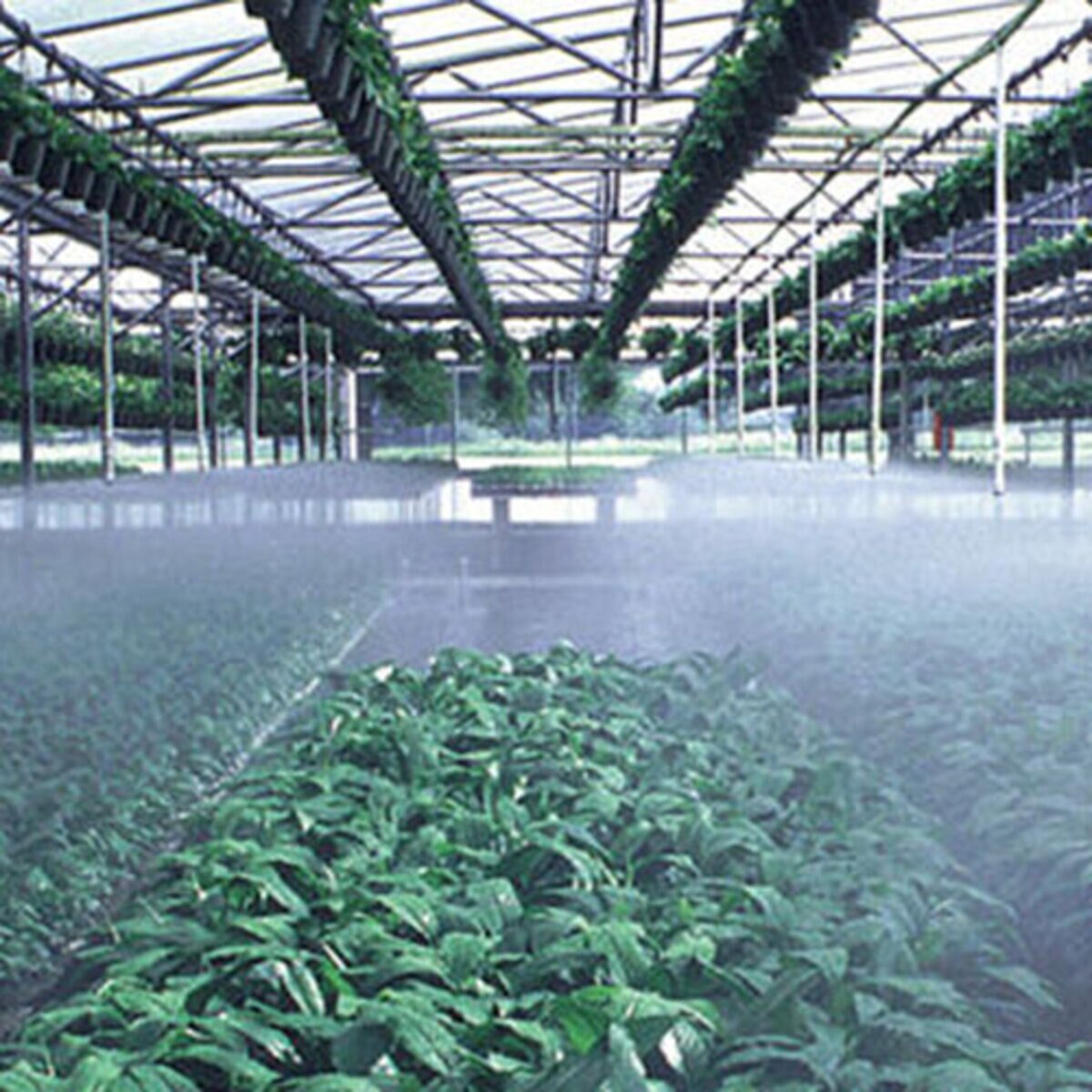 Senninger T-Spray #6 Nozzle Nursery Spray 1.5 ft. - 3 ft. 360 Degree