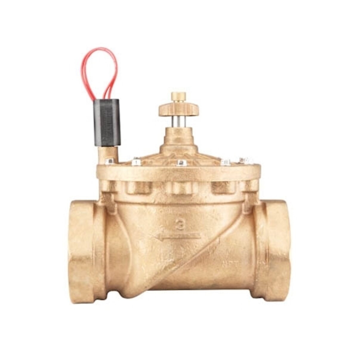 Hunter Globe Valve IBV Brass 3 in. w/ Flow Control and Filter Sentry FIPT x FIPT