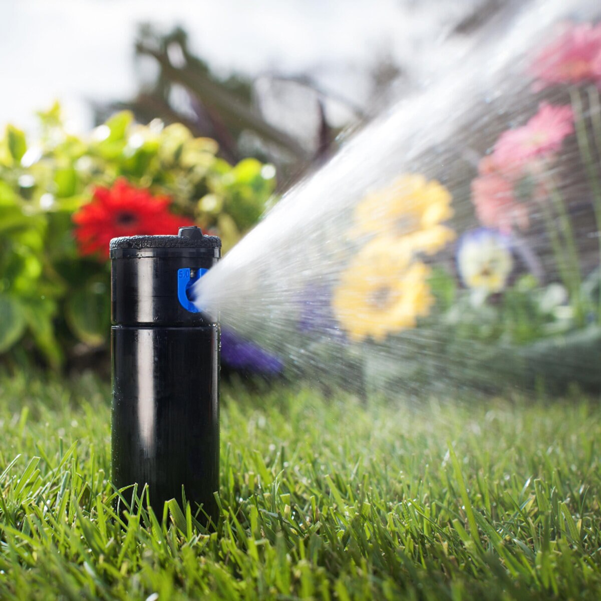 Hunter PGP Ultra Adjustable Rotor 4 in. Riser with 2.5 Nozzle