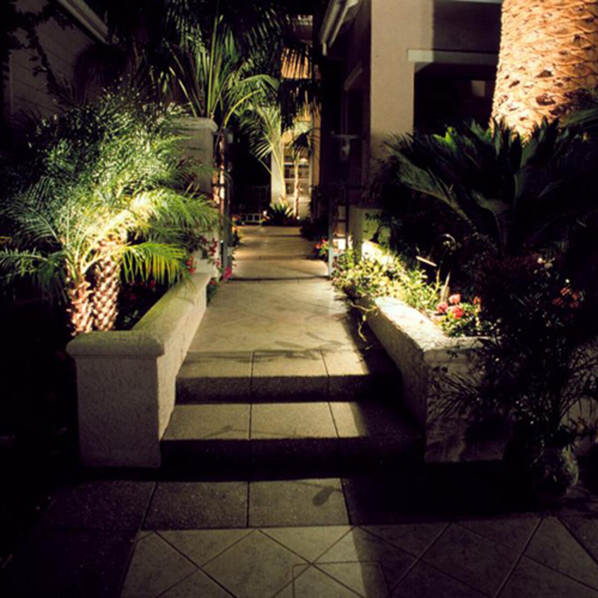 Accentolume Bronze 12W Fixt FX