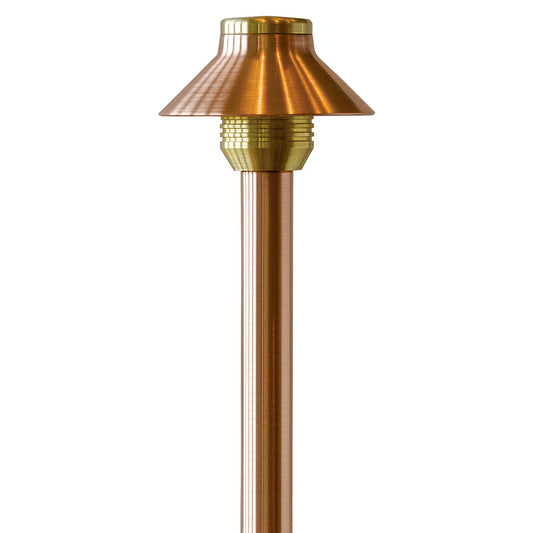 Sauaropetite Top Natural Copper Fx