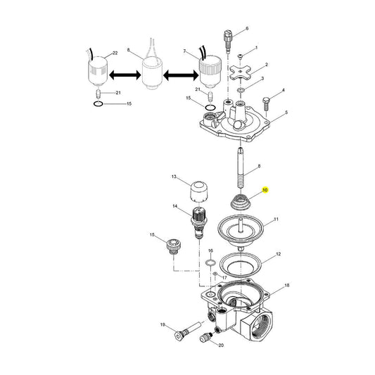 Spring , Diaphragm