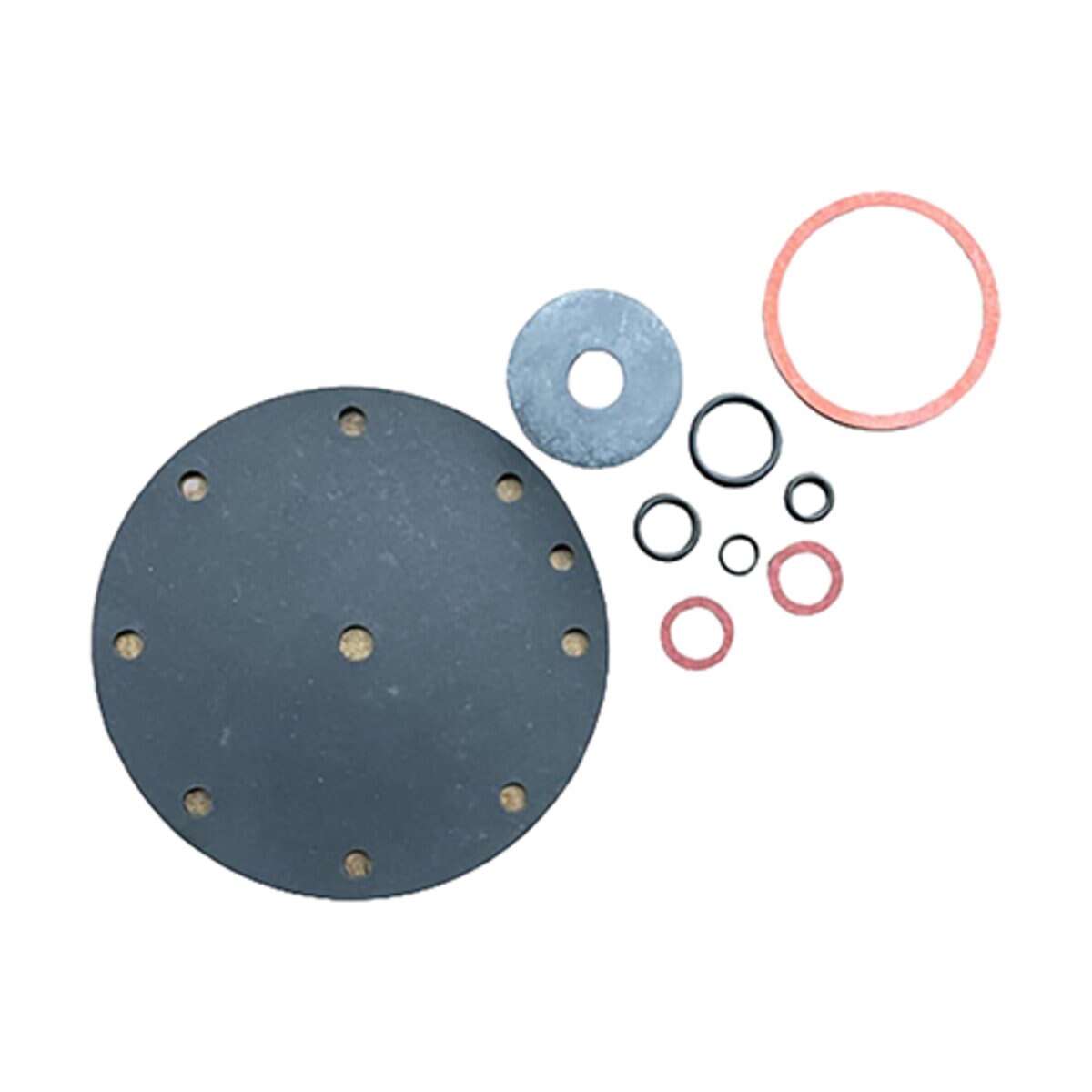 1-1/4 800 Series Repair Kit Buckner
