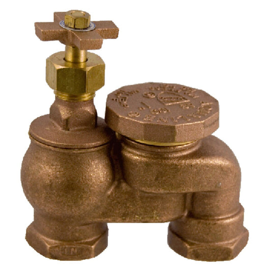 Aqualine Anti-Siphon Valve Brass 1 in.