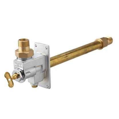 Watts TWS Wall Hydrant 1 in. MIPT 12 in. L