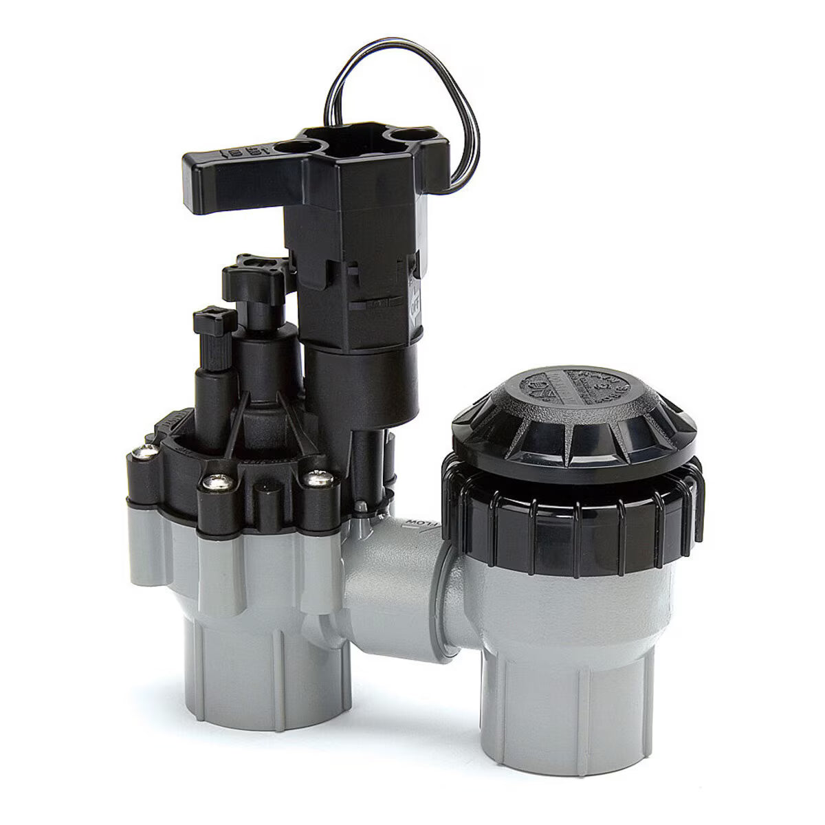 Rain Bird ASVF PVC Anti-Siphon Valve 3/4 in. FIPT with Flow Control