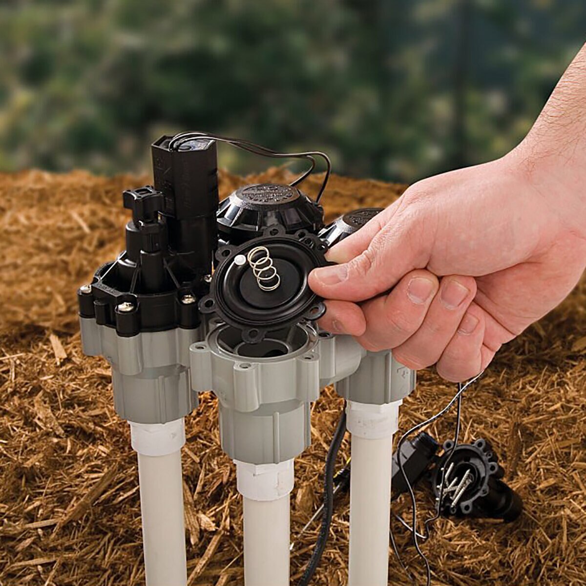 Rain Bird ASVF PVC Anti-Siphon Valve 3/4 in. FIPT with Flow Control