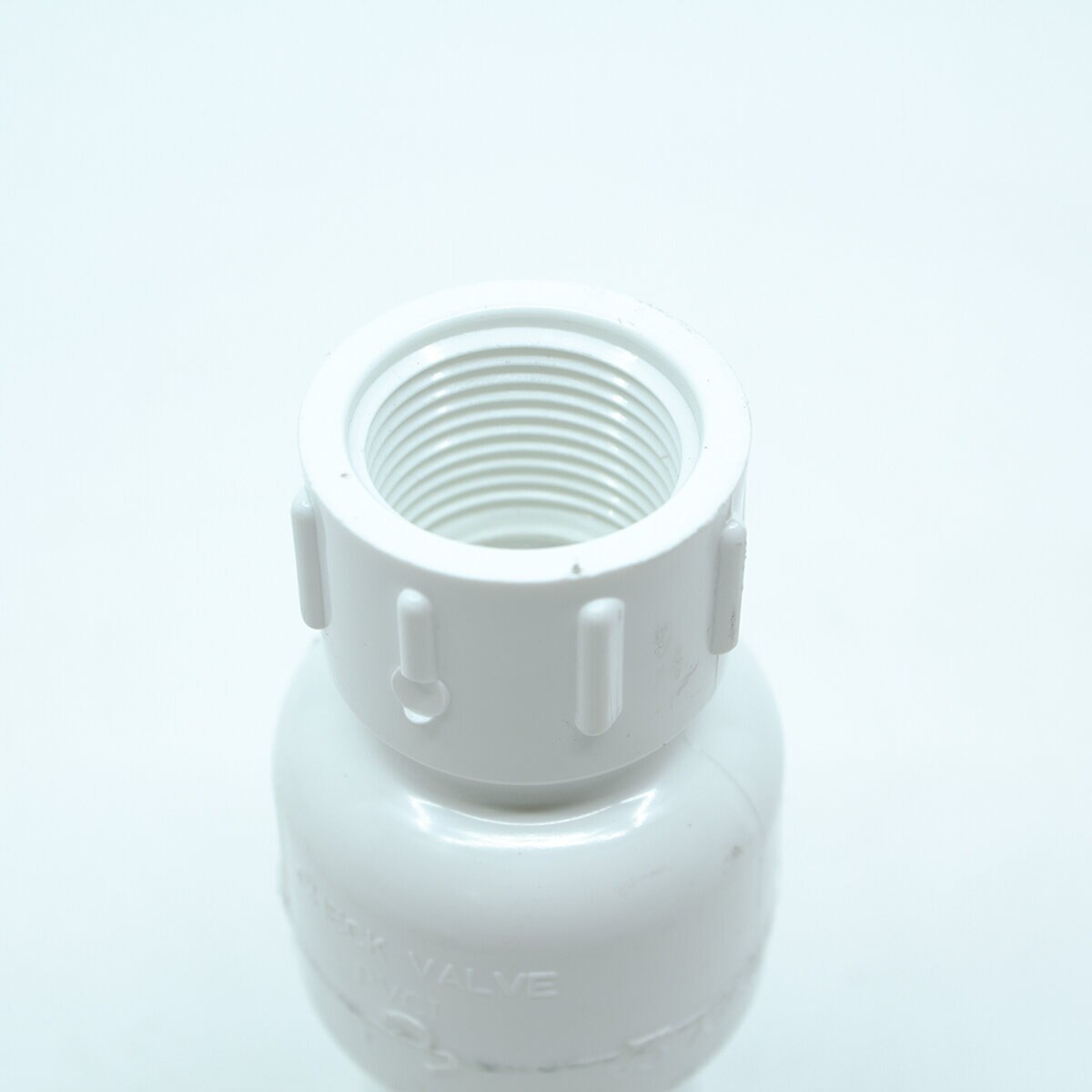 1/2 PVC Spring Check Valve Fipt X Fipt NDS