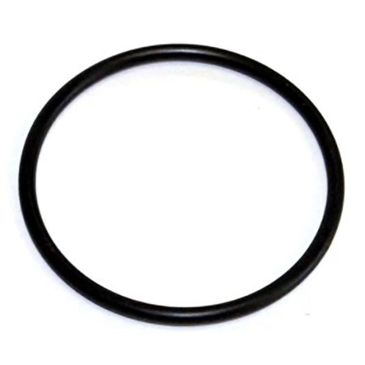 Irritrol  100241P  O-Ring Part  for Anti-Siphon Valve 3/4 in.