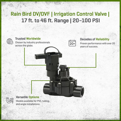Rain Bird DVF Globe Valve Plastic 1 in. w/ Flow Control FIPT x FIPT