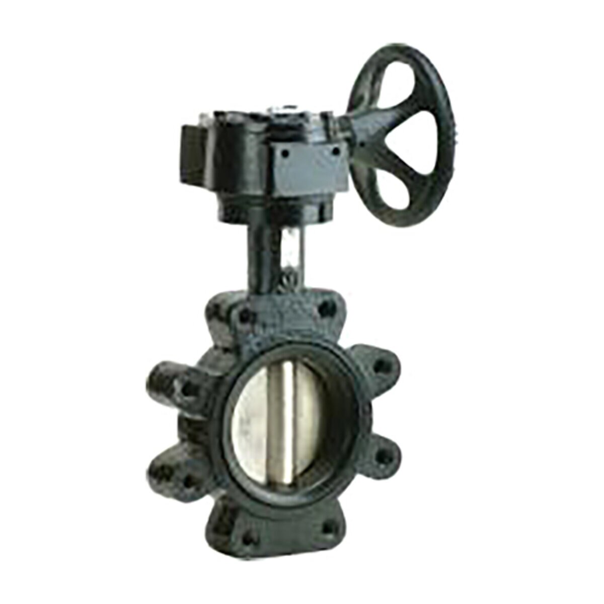 Ci Butterfly Valve 4 in.
