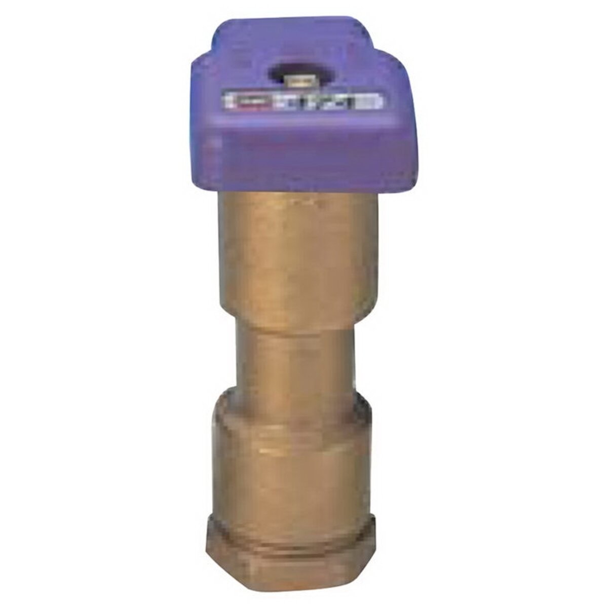 Toro Quick Coupling Valve 1 in. FIPT Inlet Single Lug with Reclaimed Purple Locking Vinyl Cover