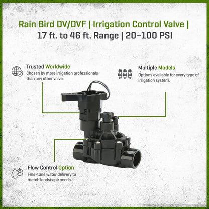 Rain Bird DVF Globe Valve Plastic 1 in. w/ Flow Control Slip x Slip