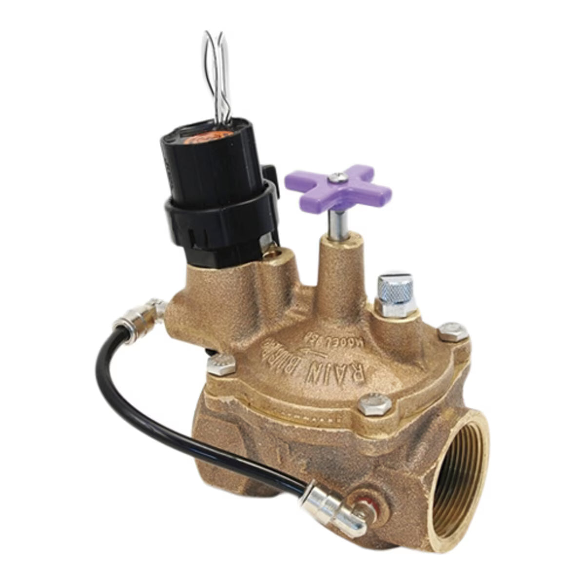 Rain Bird EFB Contamination Proof Valve Brass 1-1/2 in. w/ Flow Control FIPT x FIPT
