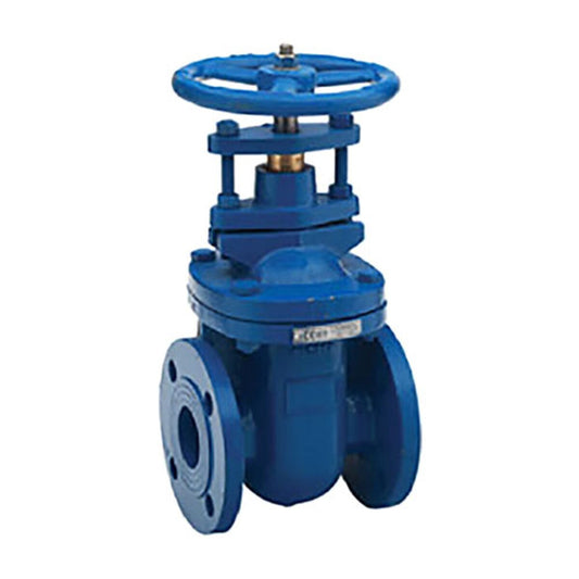 Cast Iron Flange Gate Valve 3 in. CIFGV030