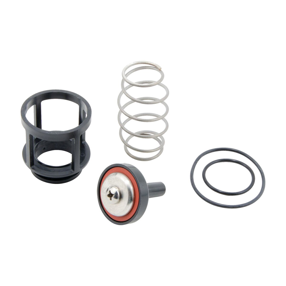 Watts RK-919 First Check Repair Kit 1 in.