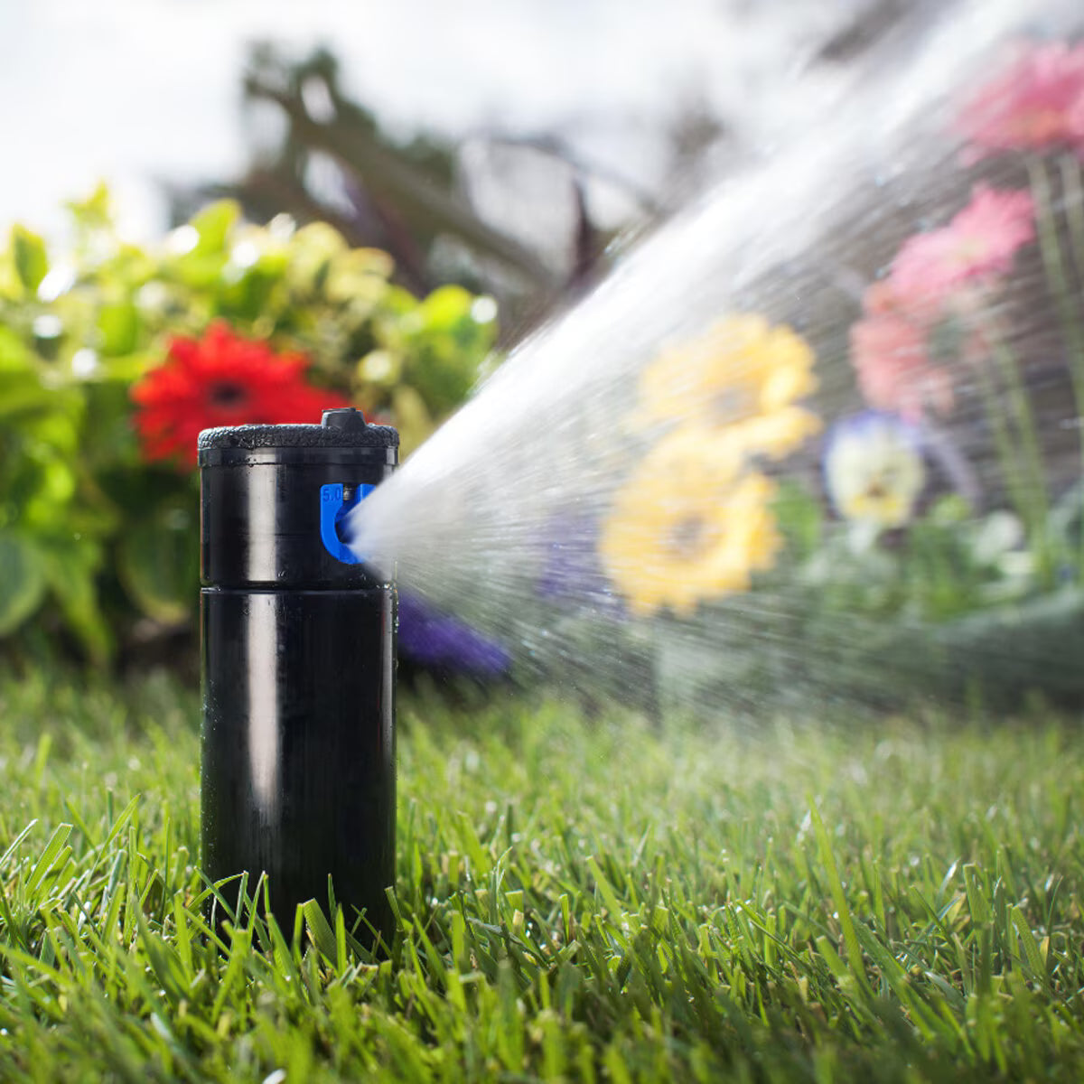 Hunter PGP Ultra Reclaimed Rotor Adjustable 4 in. Riser