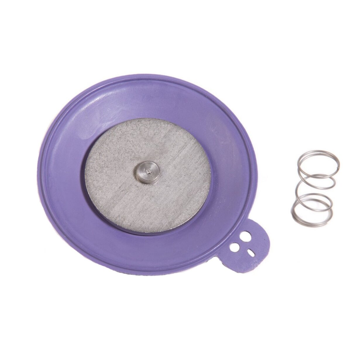 Rain Bird Diaphragm Assembly for 200EFA