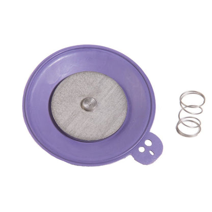 Rain Bird Diaphragm Assembly for 200EFA