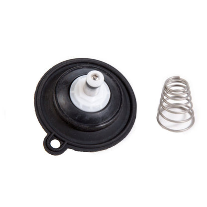 Diaphragm Assembly PESB Valve 1 in.