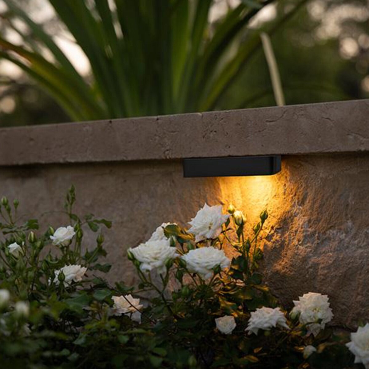 FX Luminaire CL31E2WFB Cora CL-31 LED Ledge Light, Eco 1.3VA, 2700K, Black