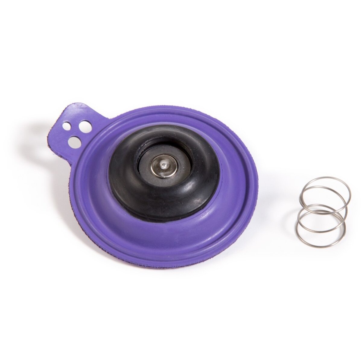 Rain Bird Diaphragm Repair Kit for 100EFA Valves