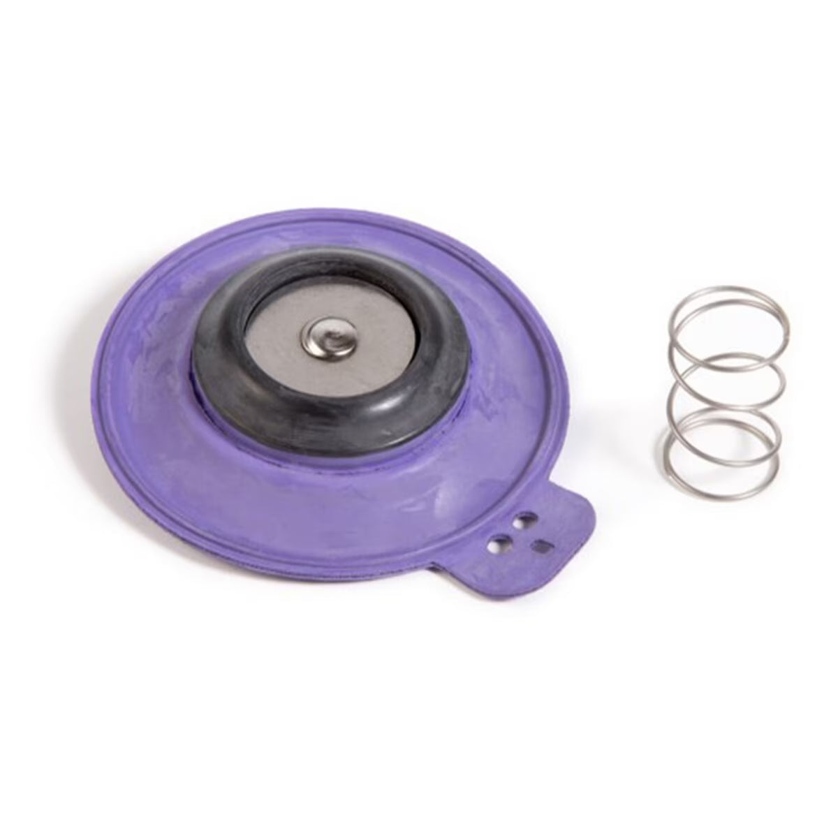 Rain Bird Diaphragm Assembly for 150 EFA and GB Valves