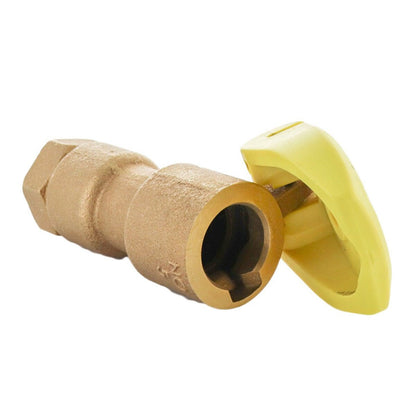 Rain Bird Quick Coupling Valve 1 in. FIPT Inlet 1 pc. Body with Yellow Rubber Cover