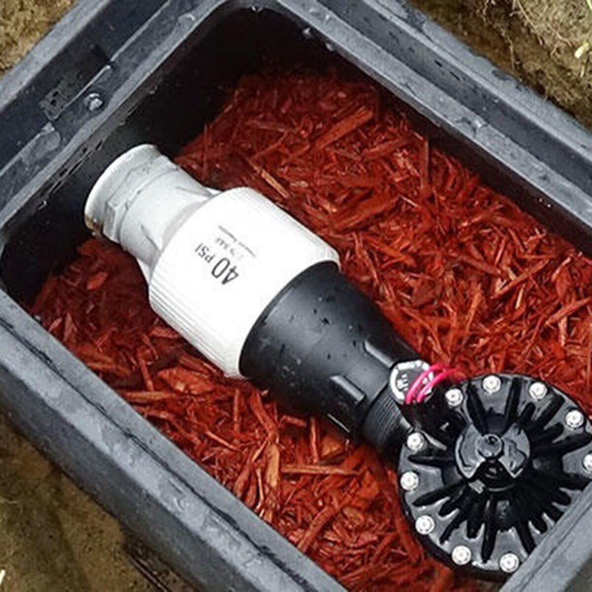 2" 30PSI Pressure Regulator Ultra PRU308F8F