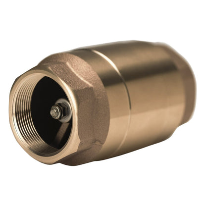 Strataflo Check Valve Brass 3 in. FIPT