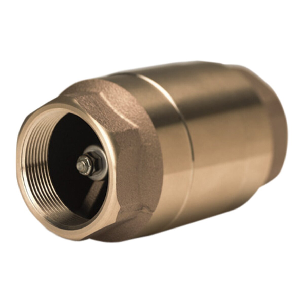 Strataflo Check Valve Brass 1-1/4 in. FIPT