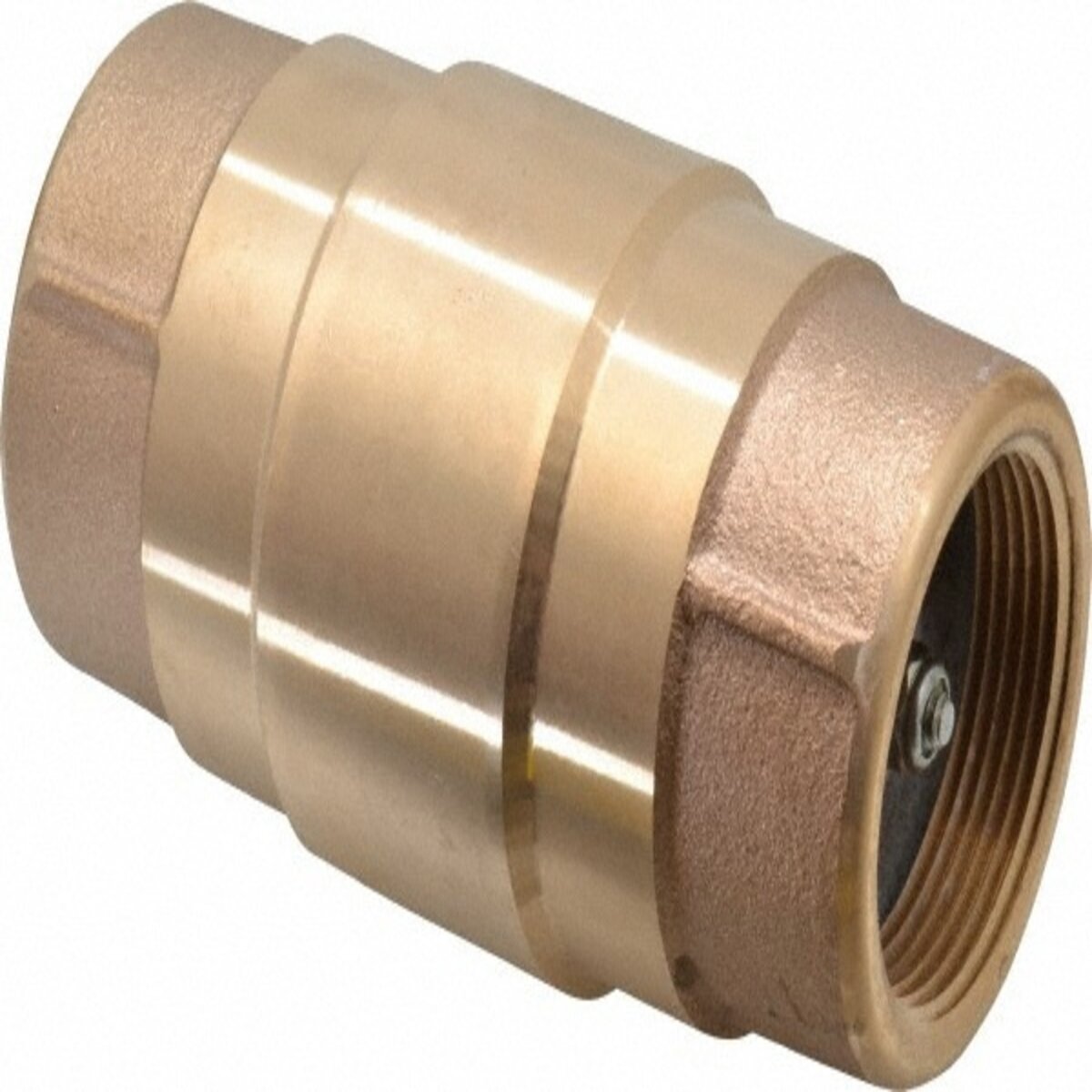 Strataflo Check Valve Brass 1-1/2 in. FIPT