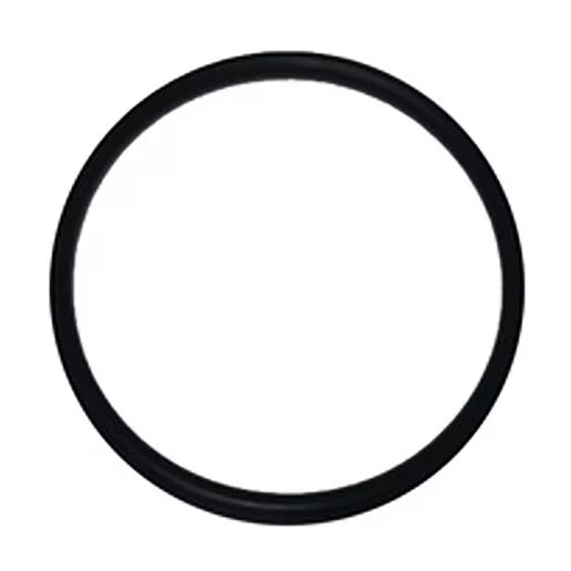 Watts 825 O-Ring for 1-1/2 in. & 2 in. Febco