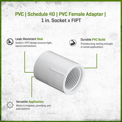 435-010 Sch 40 PVC Female Adapter 1 in. Socket x FIPT | Spears