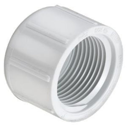 448-007 Sch 40 PVC Cap 3/4 in. FIPT | Spears