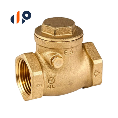 Brass Swing Check Valve 2 in. SWCV020