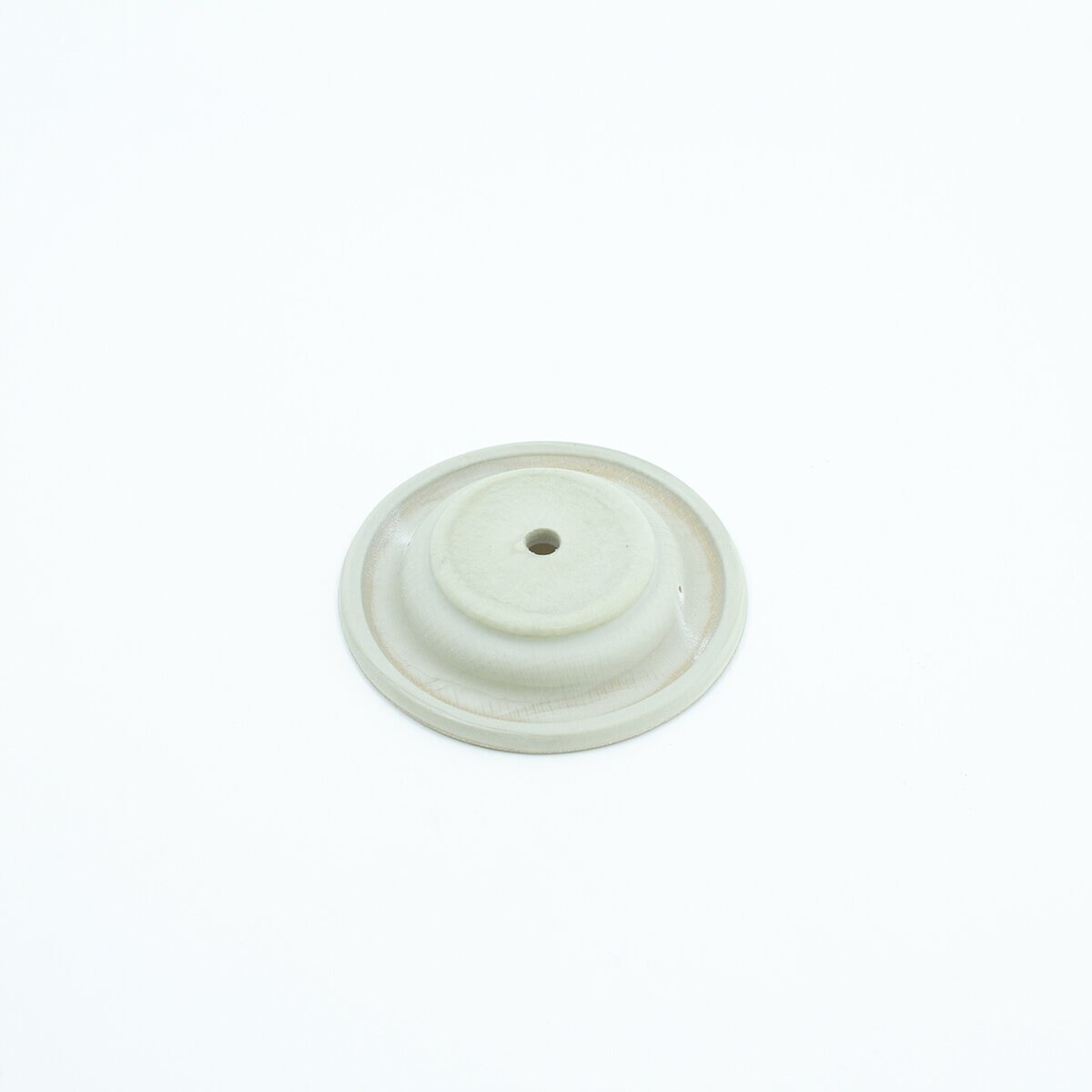 1 in. Diaphragm 11024/21024 WEATHERMATIC