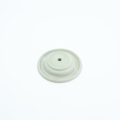 1 in. Diaphragm 11024/21024 WEATHERMATIC