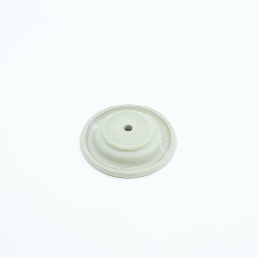 1 in. Diaphragm 11024/21024 WEATHERMATIC