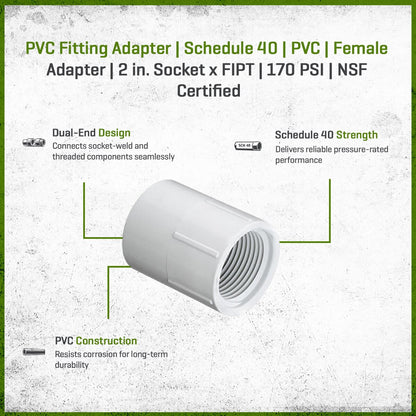 435-020 Sch 40 PVC Female Adapter 2 in. Socket x FIPT | Spears