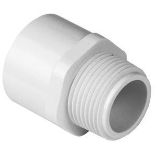 Sch 40 PVC Male Adapter 1/2 in. MIPT x Socket