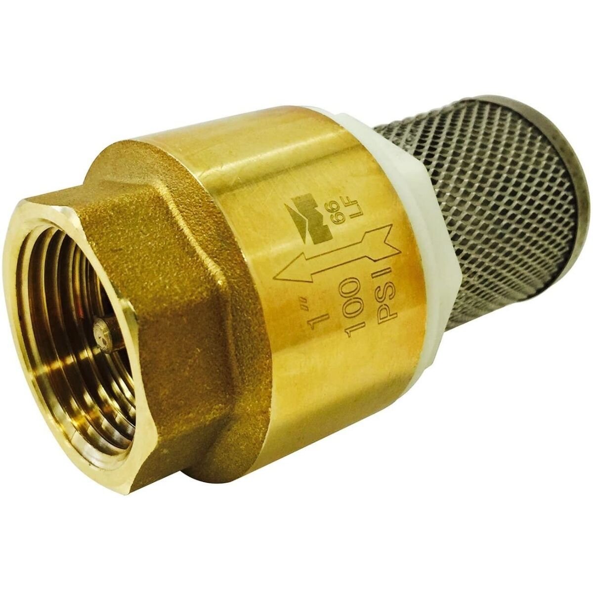 Foot Valve 1 in. Brass
